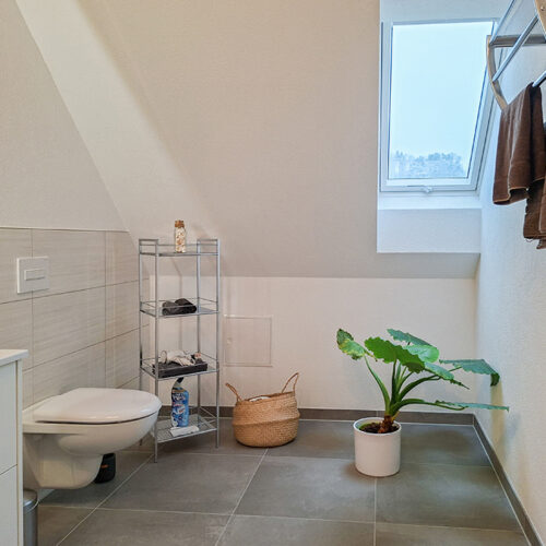 Bad mit Dusche/WC - Wohnung 8