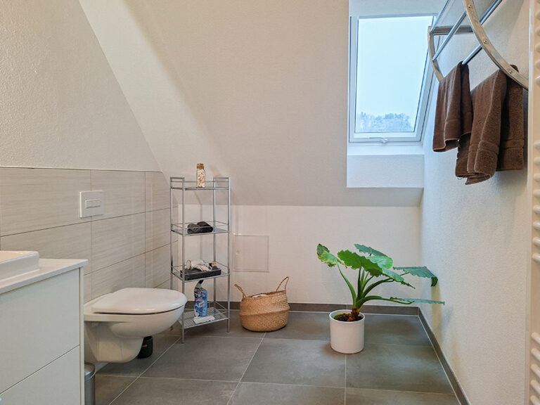 Bad mit Dusche/WC - Wohnung 8