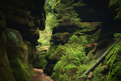 Felsenlabyrinth in Langenhennersdorf