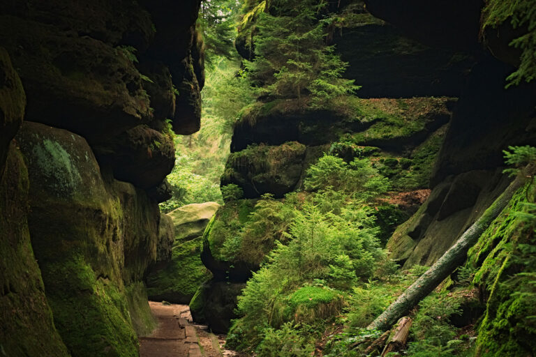 Felsenlabyrinth in Langenhennersdorf