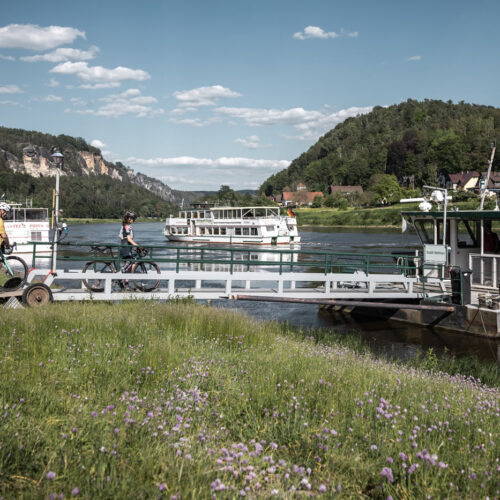 Rockhead, C. Phillipp Herfort